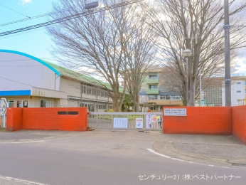 ӊ@nswZ350m
