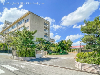 ӊ@swZ1540m