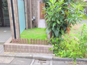 nOώʐ^@-