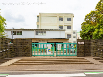 ӊ@sŒwZ1000m