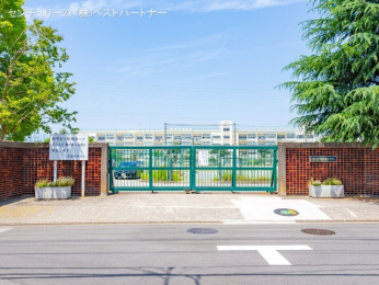 ӊ@sœwZ1000m