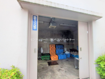 nOώʐ^@-