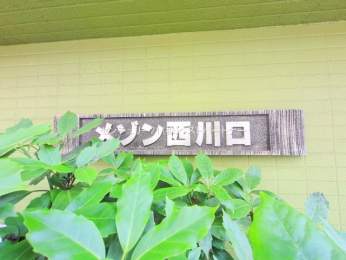 nOώʐ^@-