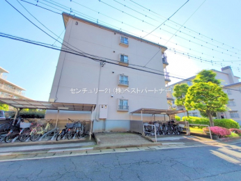 nOώʐ^@-