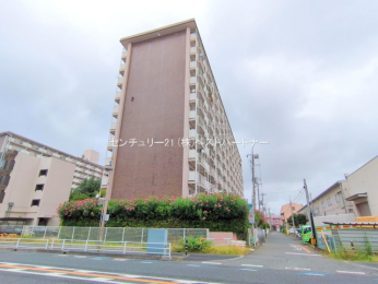 nOώʐ^@-