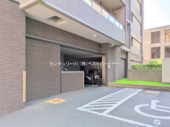 nOώʐ^@-
