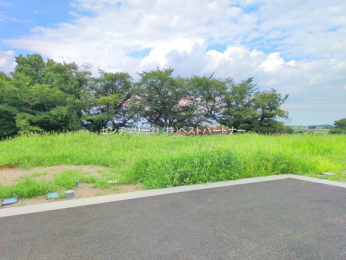 nOώʐ^@-