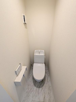 ���̑��@�b�����@
�E�H�V�����b�g�t���ߐ��g�C��