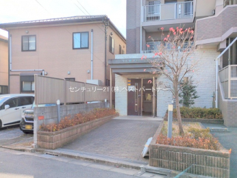 �G���g�����X�@-