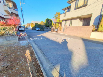 ���n�y�n�ʐ^�@-