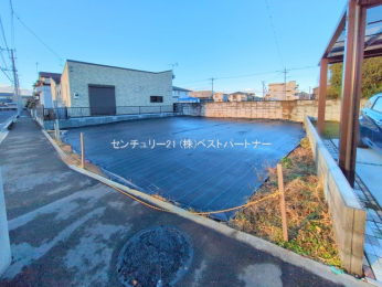 ���n�y�n�ʐ^�@-