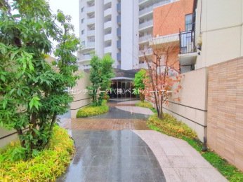 �G���g�����X�@-