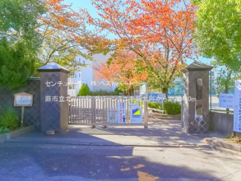 ���ӊ��@�n�s���k���w�Z480m