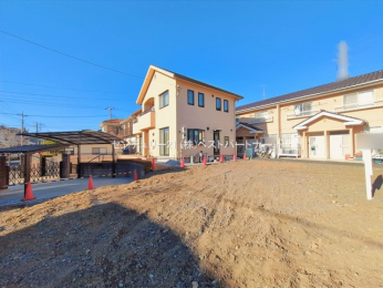 ���n�y�n�ʐ^�@-