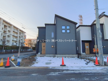 ���n�O�ώʐ^�@-