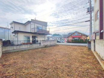 ���n�y�n�ʐ^�@-