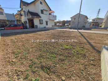 ���n�y�n�ʐ^�@-