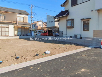 ���n�y�n�ʐ^�@-