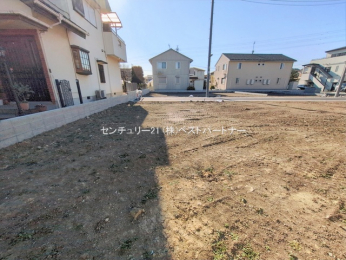 ���n�y�n�ʐ^�@-