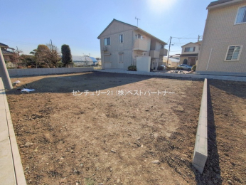 ���n�y�n�ʐ^�@-