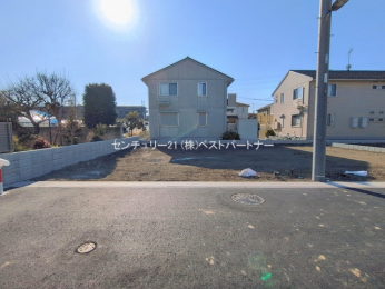 ���n�y�n�ʐ^�@-