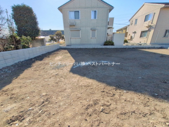 ���n�y�n�ʐ^�@-