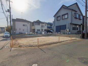 ���n�y�n�ʐ^�@-