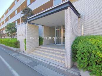 �G���g�����X�@-