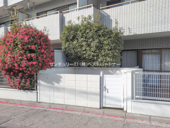 ���n�O�ώʐ^�@-