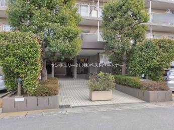 �G���g�����X�@-