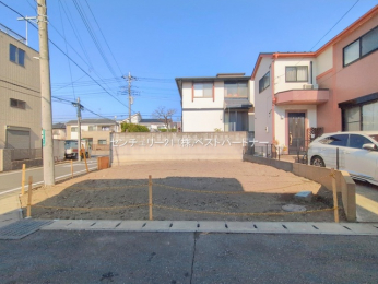 ���n�y�n�ʐ^�@-