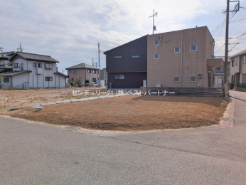 ���n�y�n�ʐ^�@-