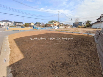 ���n�y�n�ʐ^�@-