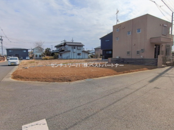 ���n�y�n�ʐ^�@-