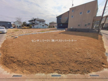 ���n�y�n�ʐ^�@-