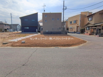 ���n�y�n�ʐ^�@-