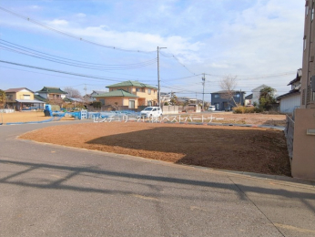 ���n�y�n�ʐ^�@-