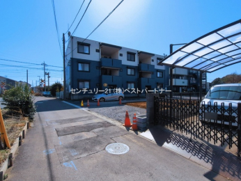 ���n�y�n�ʐ^�@-