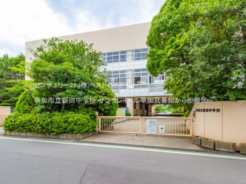 ���ӊ��@�����s���V�c���w�Z50m