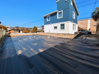 ���n�y�n�ʐ^�@-