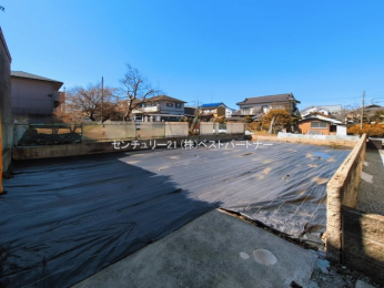 ���n�y�n�ʐ^�@-