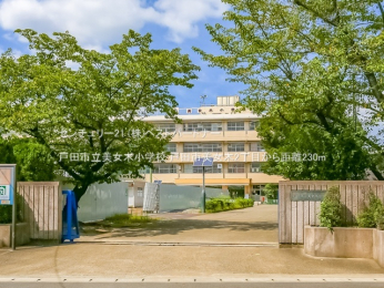 ���ӊ��@�˓c�s�������؏��w�Z230m