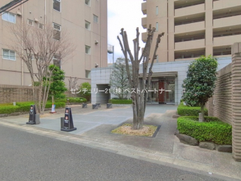 �G���g�����X�@-