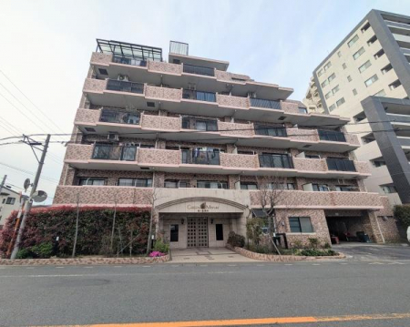 ���n�O�ώʐ^�@�u�V��h�v�w�k��10���E�u�����J�v�w�k��11��
�쐼�p�����I�R�k�c�j
������̖��邢�k�c�j15�����@���r���O�ɏ��g�[
�����R�������邢�U�����̂�����
�쑤�Ƀe���X���k���o���R�j�[����p�|�[�`