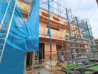 ���n�O�ώʐ^�@-