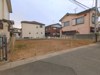 ���n�y�n�ʐ^�@-