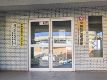 �G���g�����X�@-