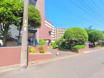 �G���g�����X�@-