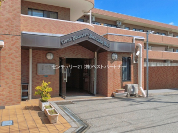 �G���g�����X�@-