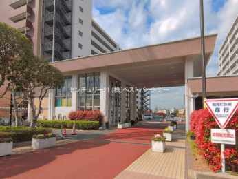 �G���g�����X�@-